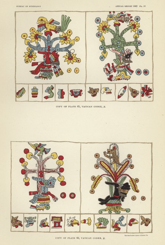 Codice Vaticano da American School