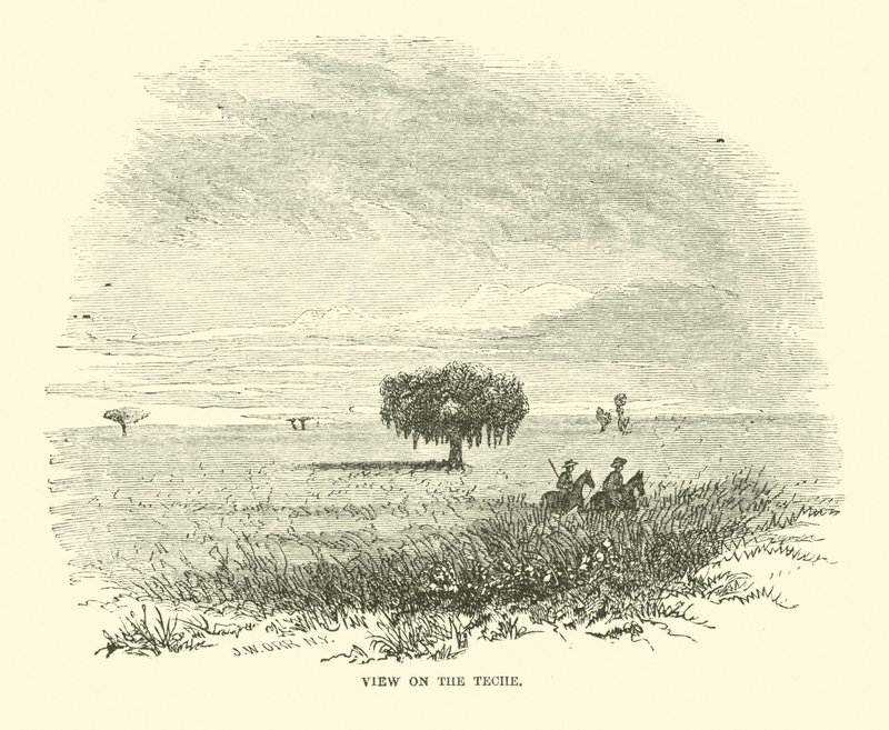 Veduta sul Teche, aprile 1863 da American School