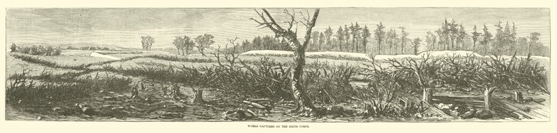 Opere catturate dal Sesto Corpo, aprile 1865 da American School
