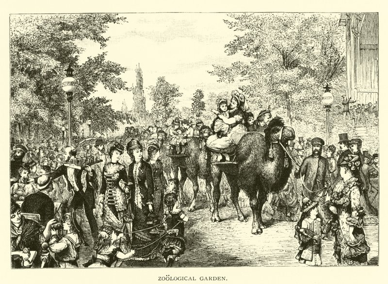 Giardino Zoologico da American School