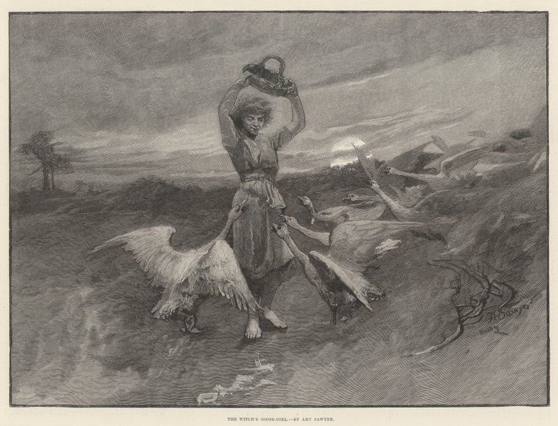 La ragazza dell
