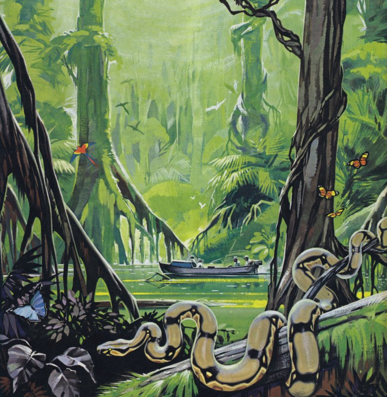 Esplorazione del Rio delle Amazzoni (litografia a colori) da Angus McBride