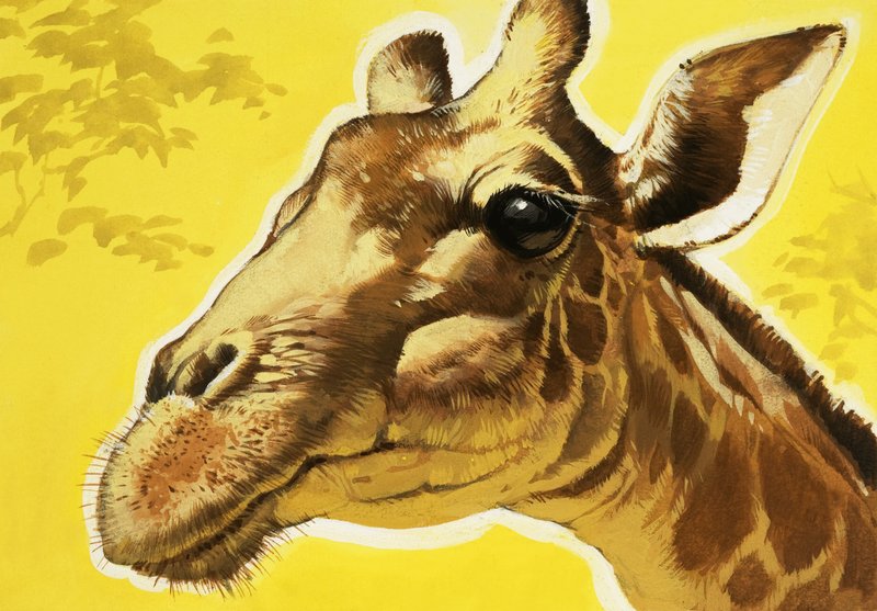Testa di giraffa da Angus McBride