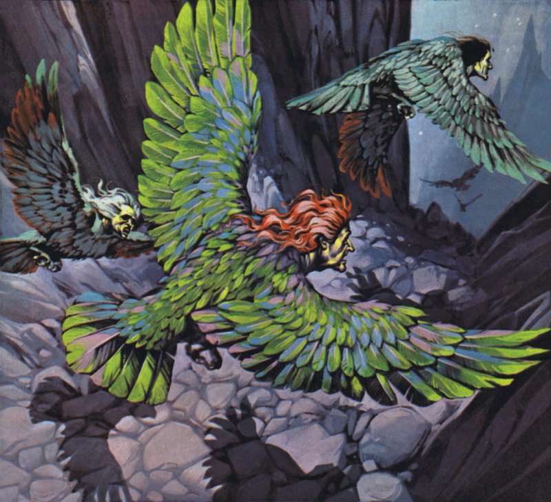 Arpie (litografia a colori) da Angus McBride