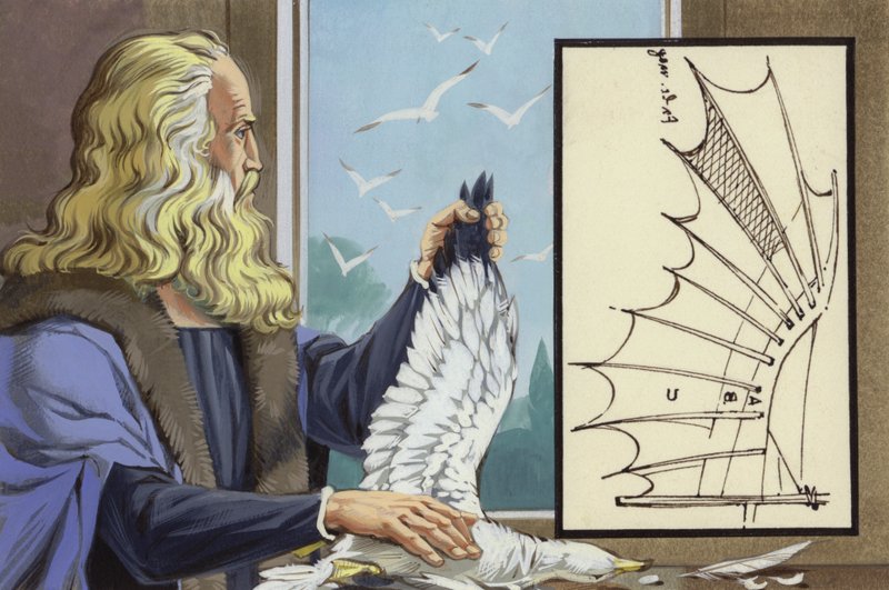 Leonardo Da Vinci studia gli uccelli per scoprire come un uomo possa volare (gouache su carta) da Angus McBride