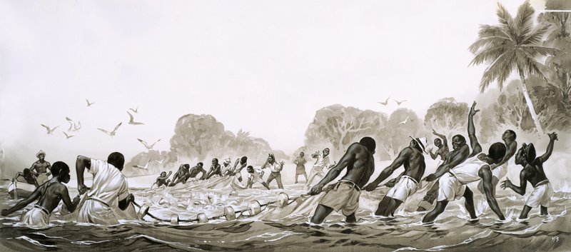 Gli indigeni dei Caraibi usano le reti per la pesca a strascico da Angus McBride