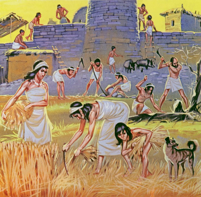 I contadini della nuova età della pietra (litografia a colori) da Angus McBride
