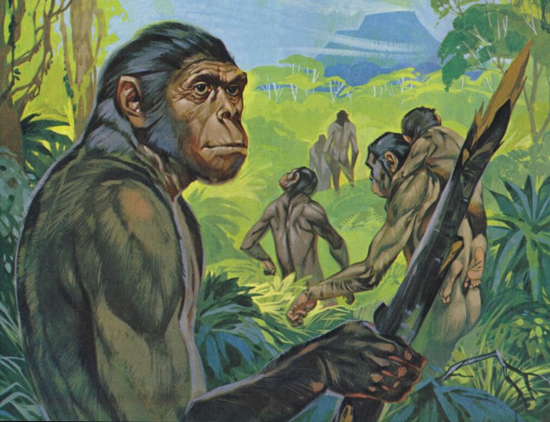 Pithecanthropus (litografia a colori) da Angus McBride