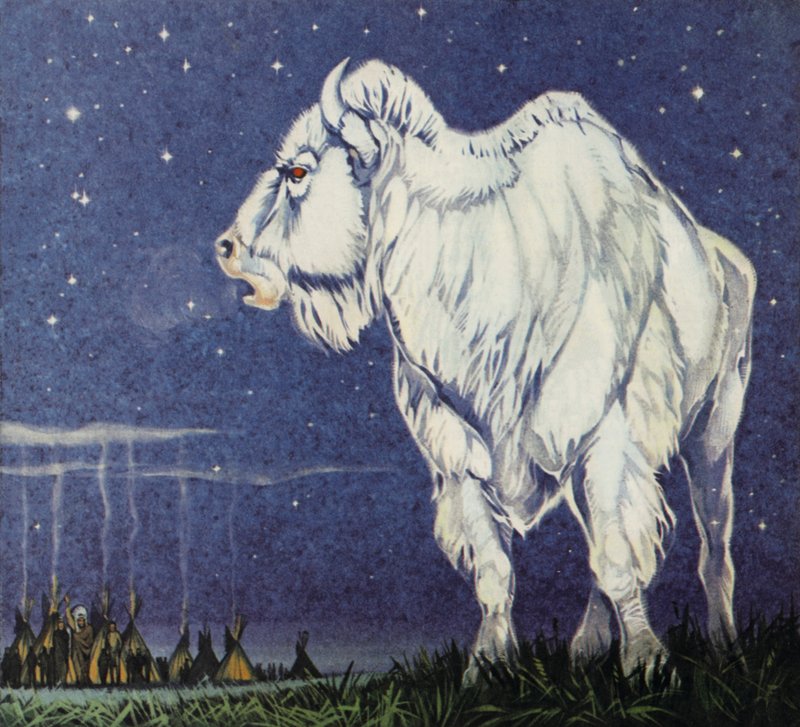 Il bufalo bianco (litografia a colori) da Angus McBride