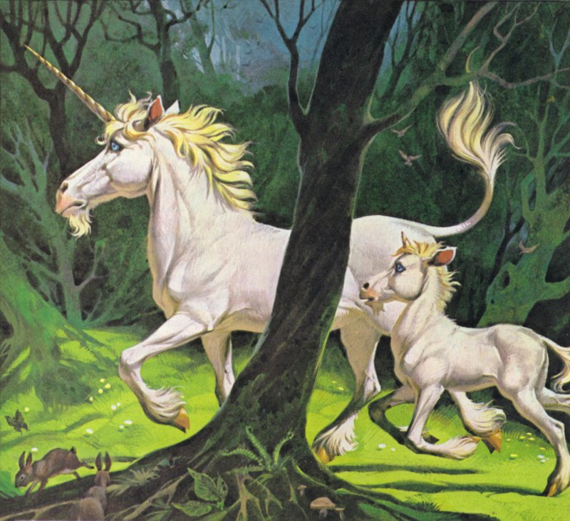Unicorni (litografia a colori) da Angus McBride