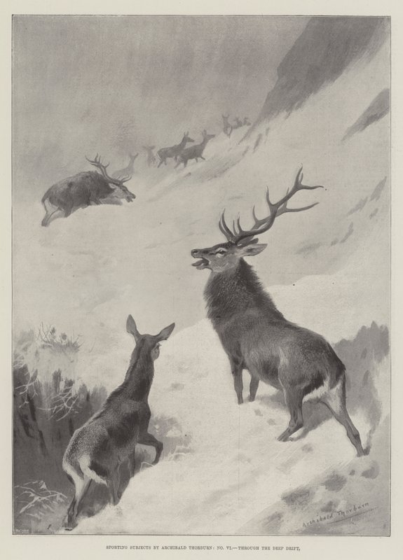 Soggetti sportivi, attraverso la neve profonda da Archibald Thorburn
