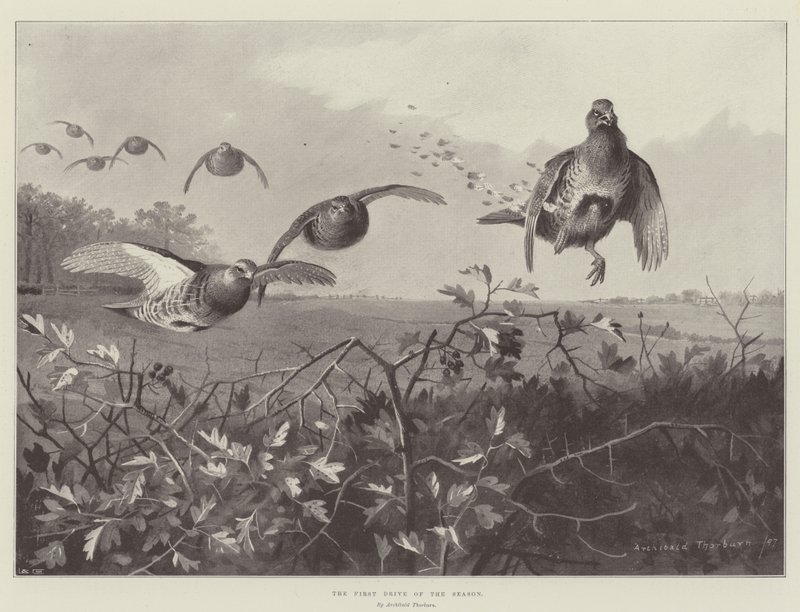La prima corsa della stagione da Archibald Thorburn
