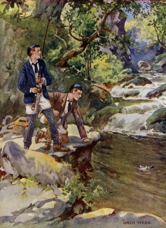 Catturare una trota da Archibald Bertram (after) Webb