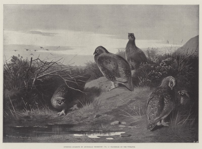 Soggetti sportivi, alba del dodicesimo giorno da Archibald Thorburn