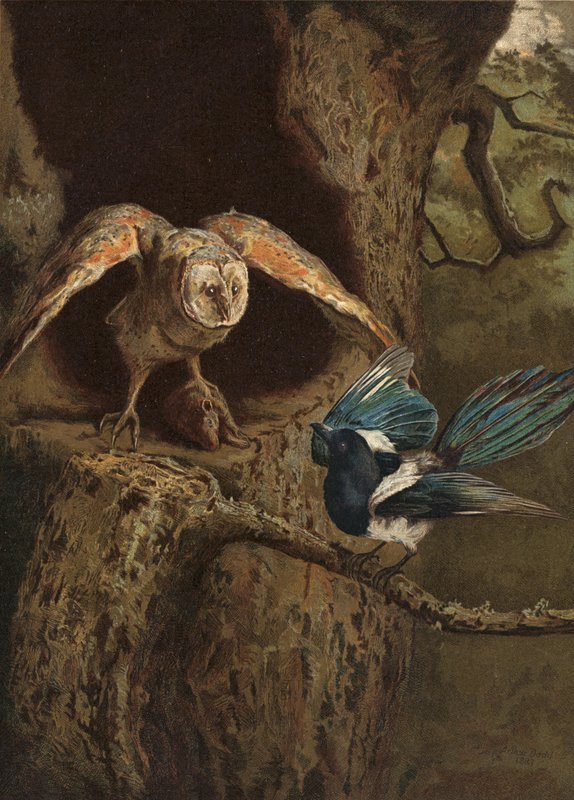 Arguzia e saggezza da Arthur Charles Dodd