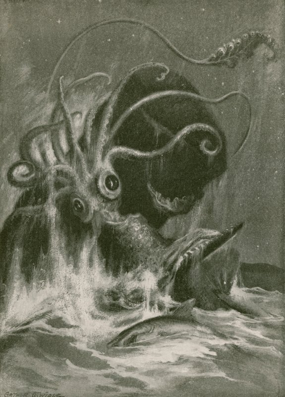 Kraken contro capodoglio da Arthur Twidle