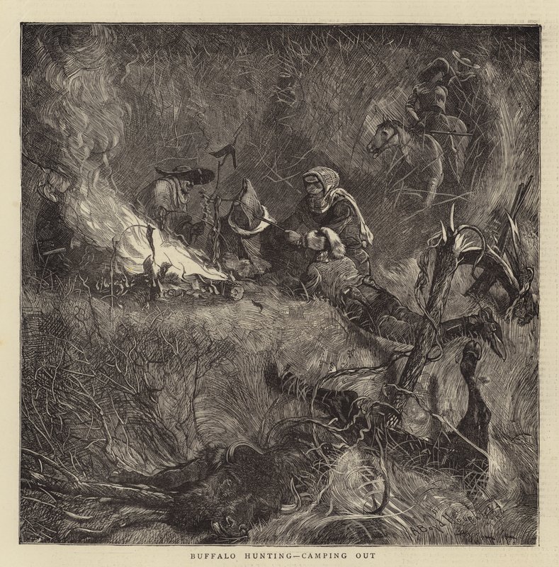Caccia al bufalo, campeggio da Arthur Boyd Houghton