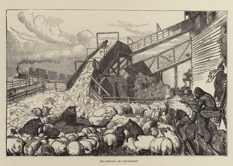 Guida dei maiali a Cincinnati da Arthur Boyd Houghton
