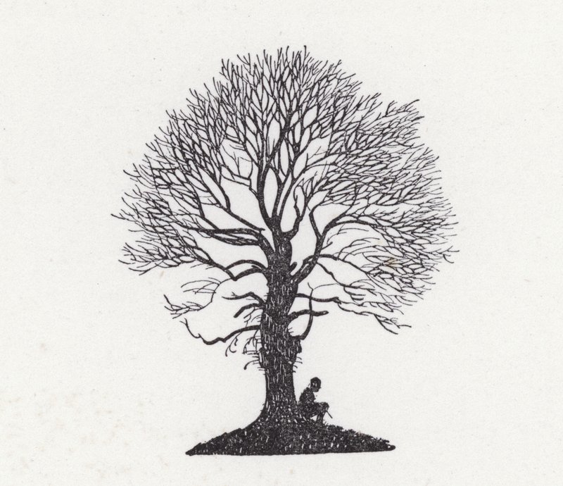 Le foglie stanno cadendo; così anch