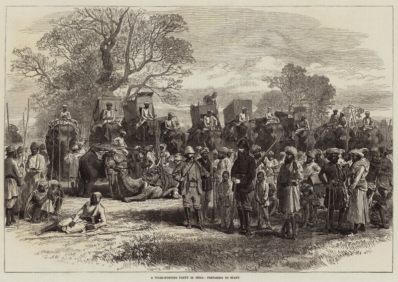 Una battuta di caccia alla tigre in India, preparativi per la partenza da Arthur Hopkins