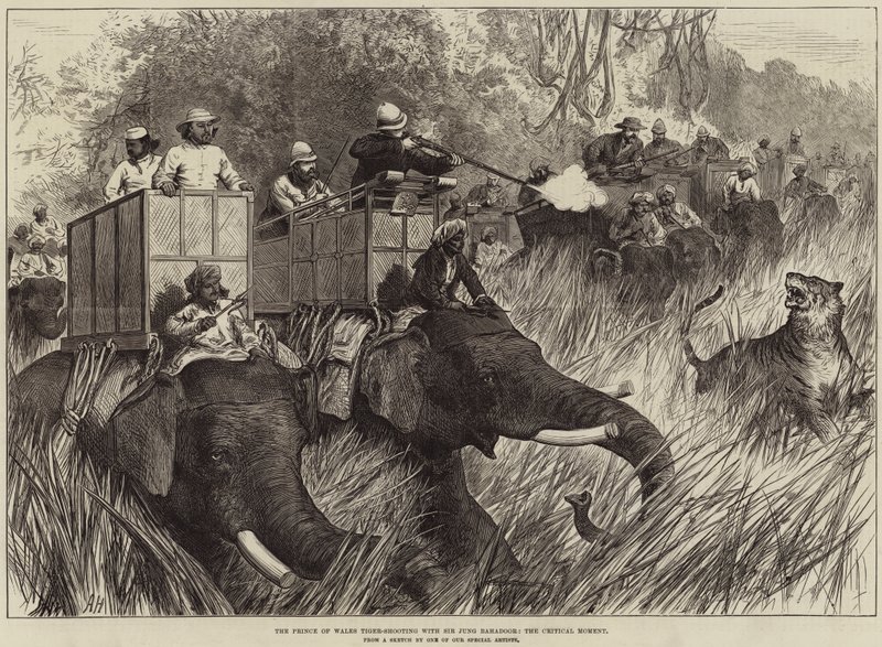 Il Principe di Galles a caccia di tigri con Sir Jung Bahadoor, il momento critico da Arthur Hopkins