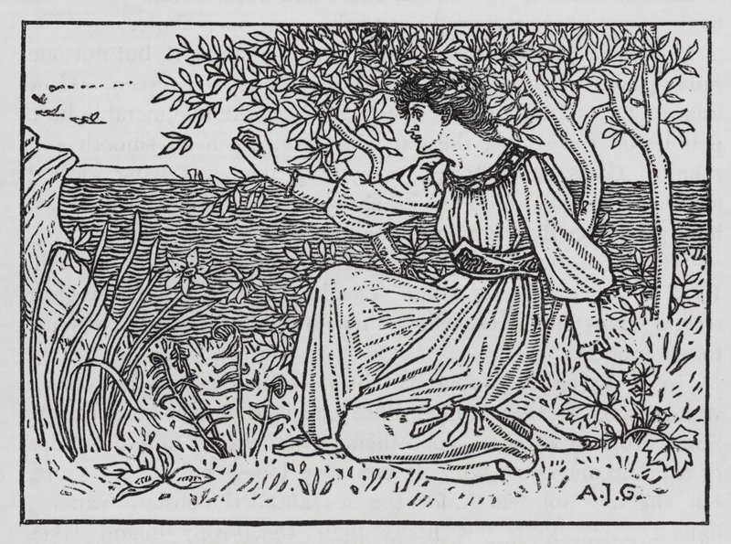 Hans Christian Andersen: I cigni selvatici da Arthur Joseph Gaskin