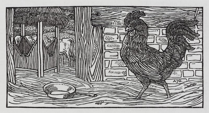 Hans Christian Andersen: "Non c