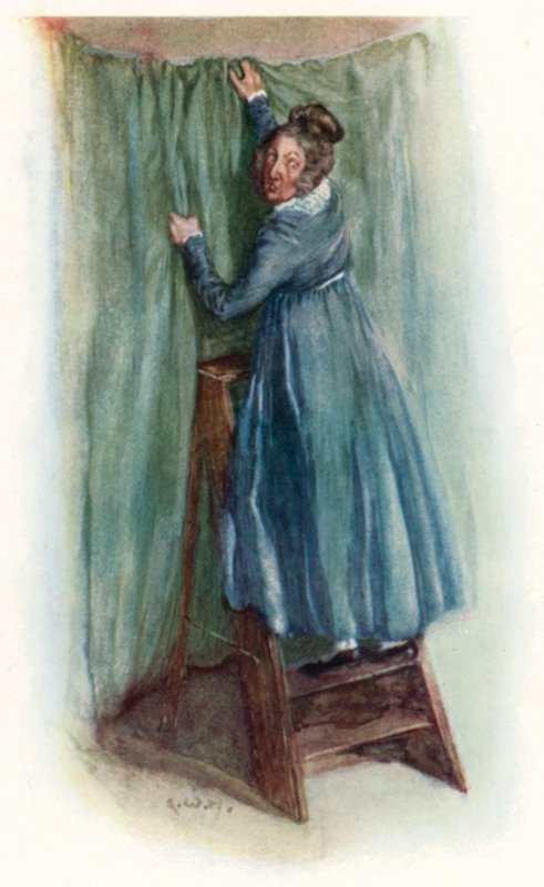 Illustrazione per L