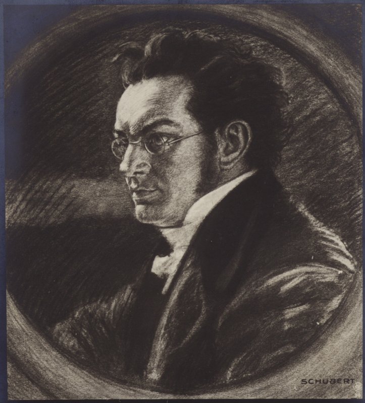 Ritratto di Franz Schubert da Austrian School