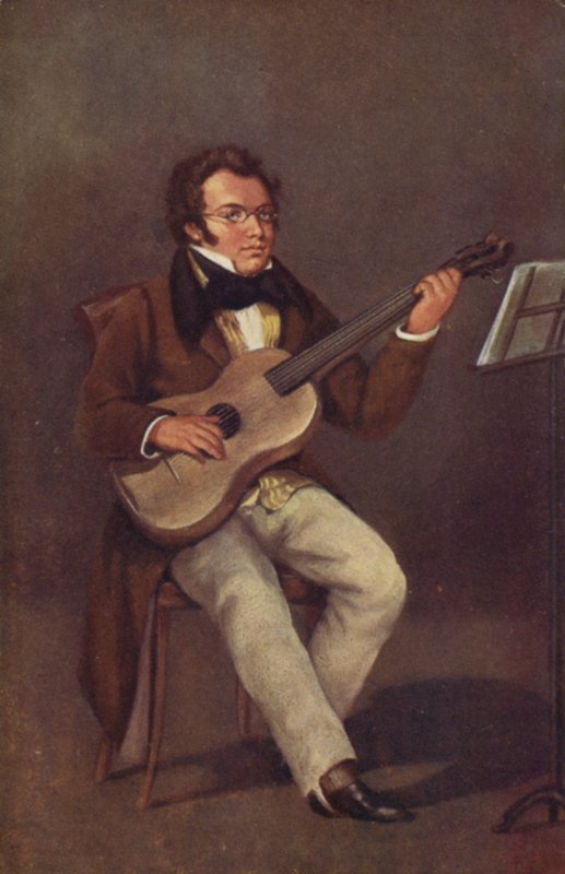 Ritratto di Franz Schubert da Austrian School