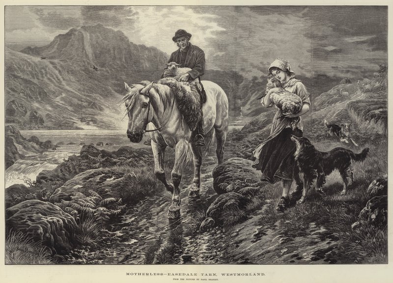 Senza madre, Easedale Tarn, Westmorland da Basil Bradley