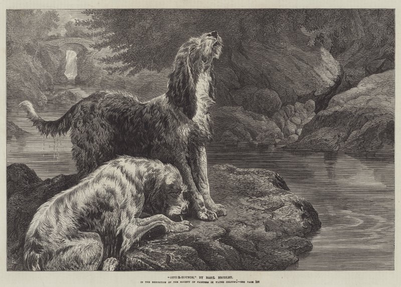 Cani da lontra da Basil Bradley