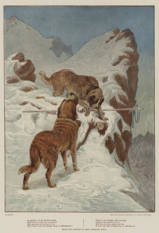 Un viaggiatore, dal fedele cane da Basil Bradley