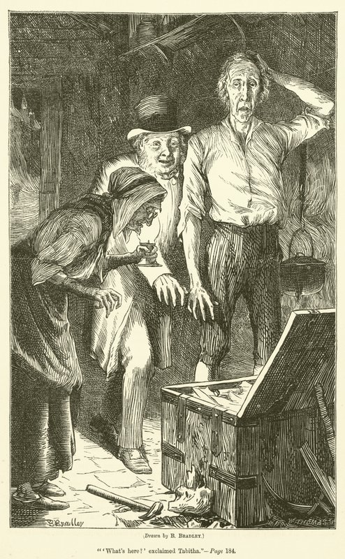 Il tesoro di Peter Goldthwaite da Basil Bradley