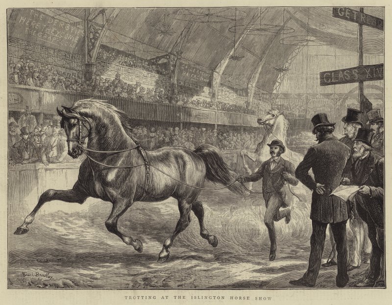 Trottando allo spettacolo di cavalli di Islington da Basil Bradley