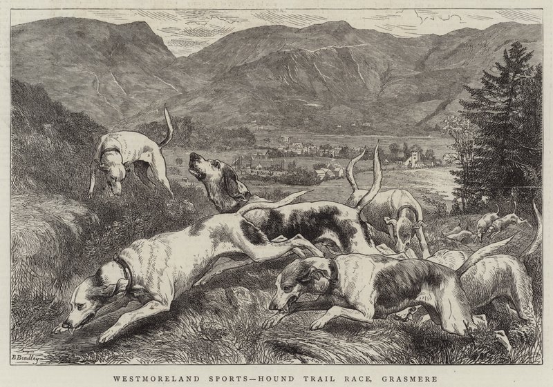 Sport in Westmoreland, gara di cani da caccia, Grasmere da Basil Bradley