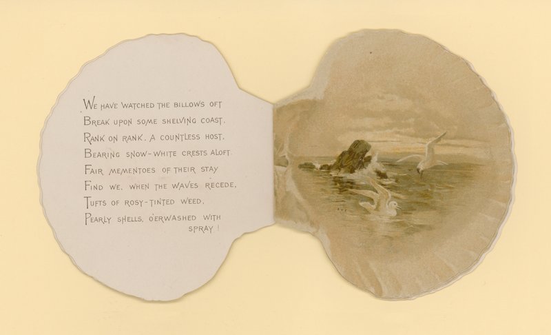Illustrazione per opuscolo intitolato Conchiglie di mare da Benjamin D. Sigmund