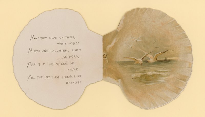 Illustrazione per opuscolo intitolato Conchiglie di mare da Benjamin D. Sigmund