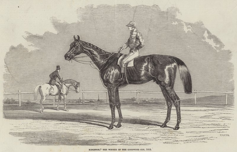 Kingston, il Vincitore della Coppa di Goodwood, 1852 da Benjamin Herring