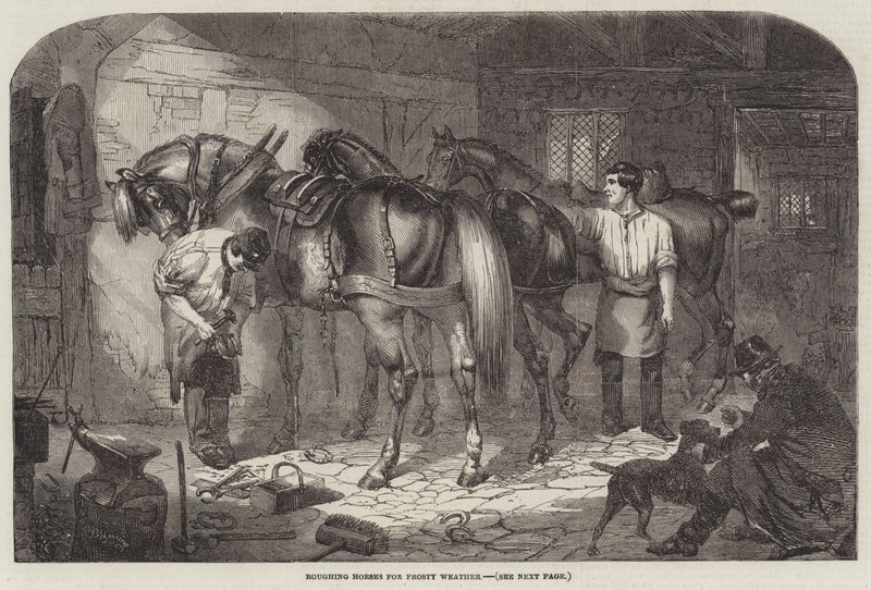 Preparazione dei cavalli per il tempo gelido da Benjamin Herring