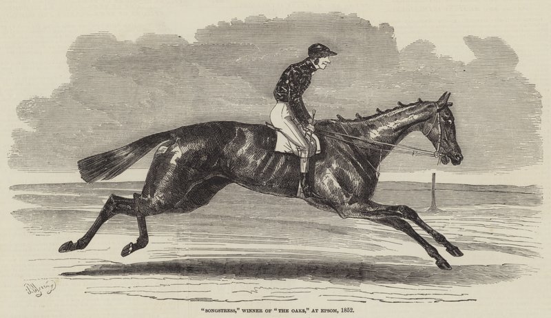 Cantante, vincitrice di The Oaks, a Epsom, 1852 da Benjamin Herring