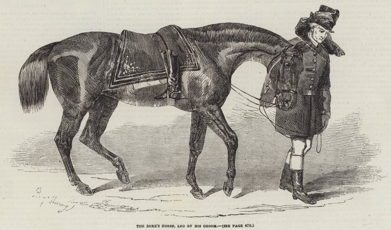 Il cavallo del duca, guidato dal suo stalliere da Benjamin Herring