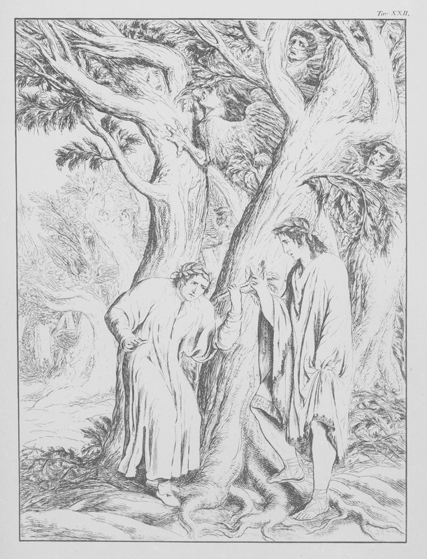La Divina Commedia di Dante, Inferno, Tavola XXII da Bernhard Schuler