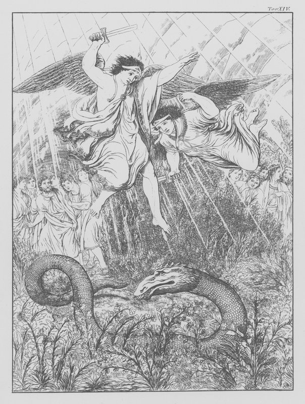 La Divina Commedia di Dante, Purgatorio, Tavola XIV da Bernhard Schuler