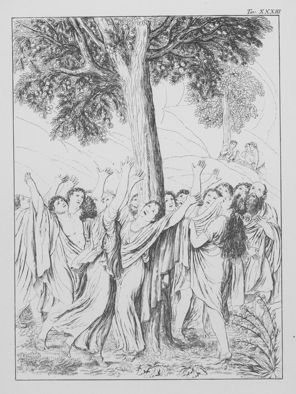 La Divina Commedia di Dante, Purgatorio, Tavola XXXIII da Bernhard Schuler