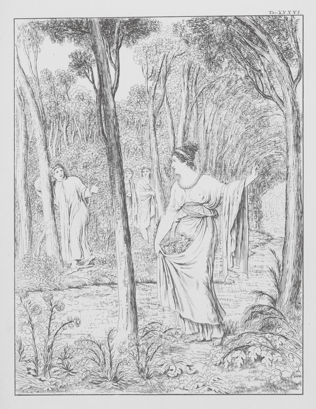 La Divina Commedia di Dante, Purgatorio, Tavola XXXVI da Bernhard Schuler