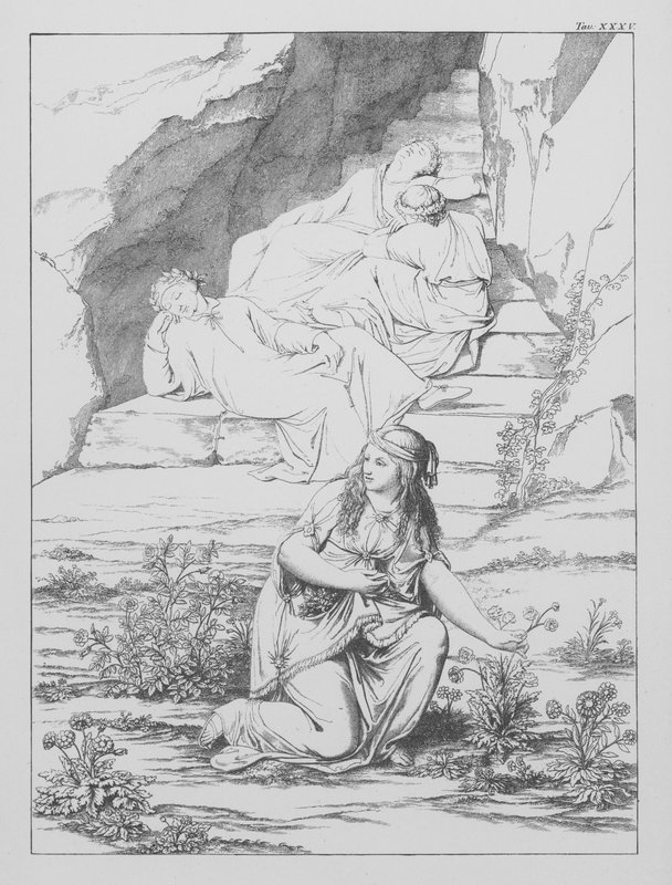 La Divina Commedia di Dante, Purgatorio, Tavola XXXV da Bernhard Schuler
