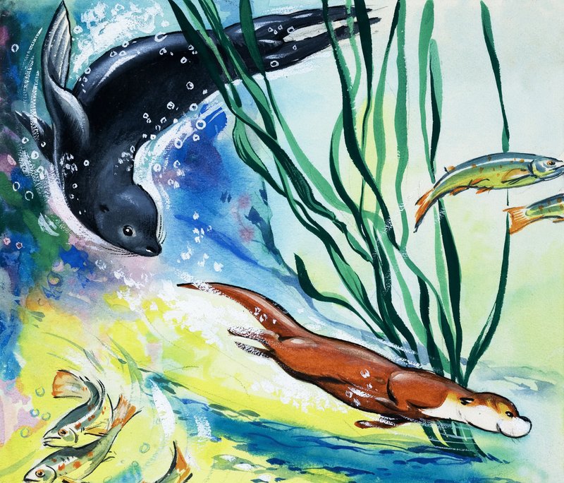 Fliptail la lontra; da Bert Felstead