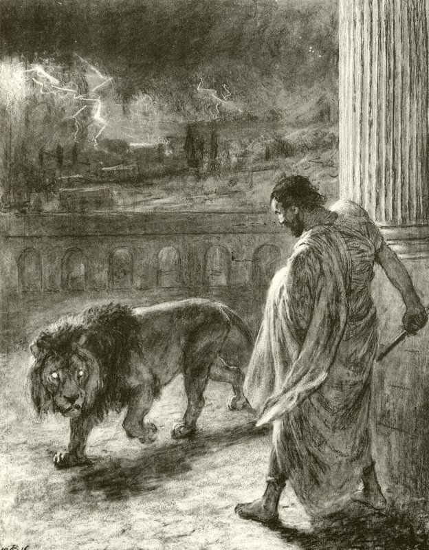 Casca da Briton Riviere