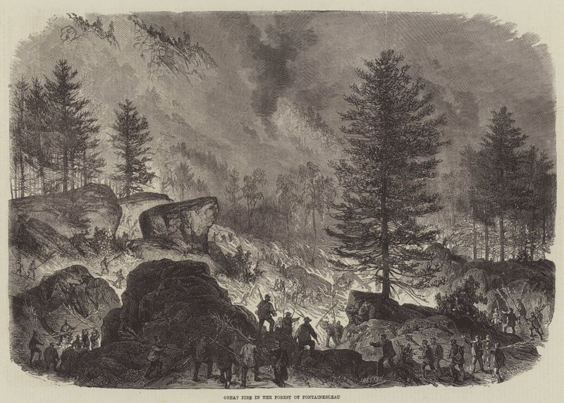 Grande incendio nella foresta di Fontainebleau da Burn Smeeton